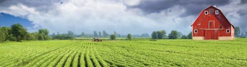 Green Field and Barn